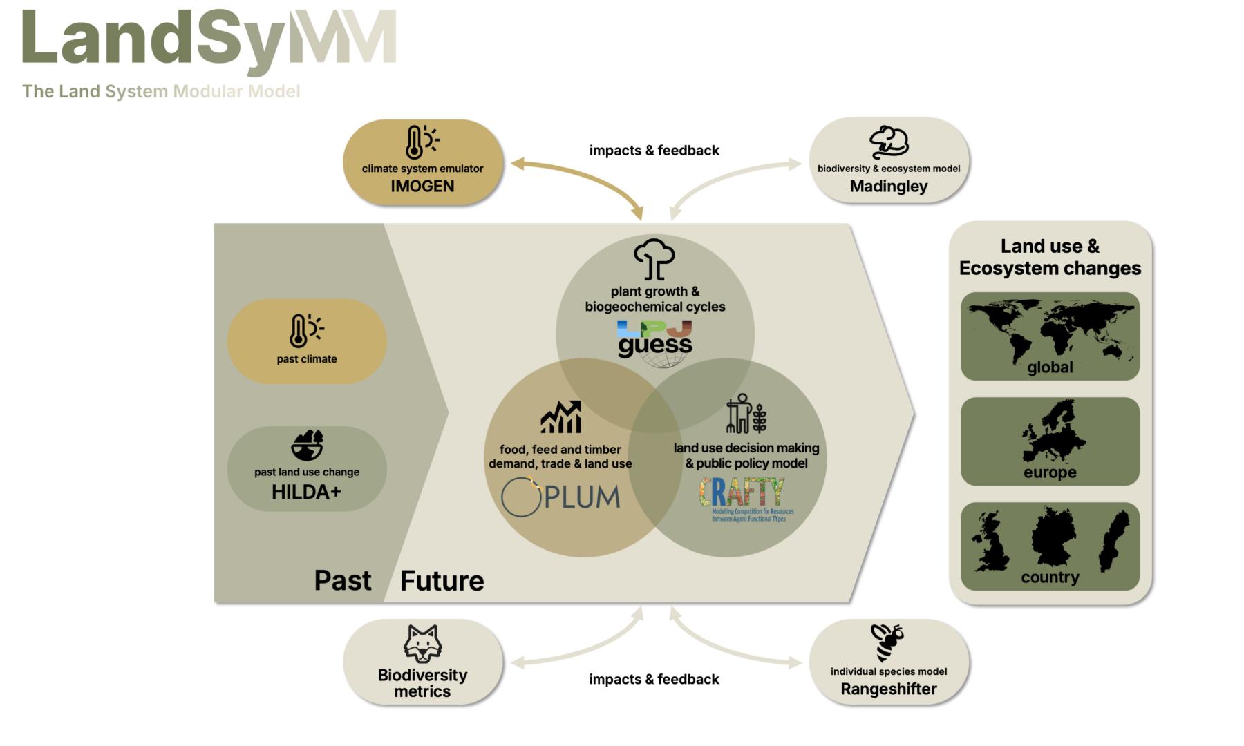 The LandSyMM framework